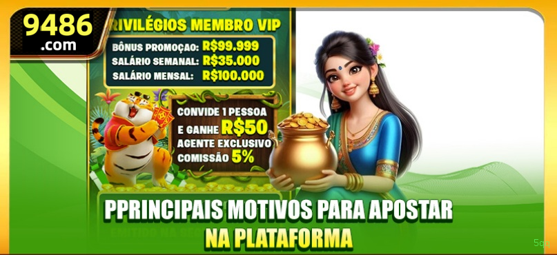 5qq Provedores Premium